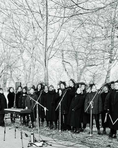Wild Terrier Orchestra feat. The Witches of Westend